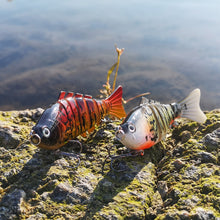 Load image into Gallery viewer, Fisherazade segmented fishing lures