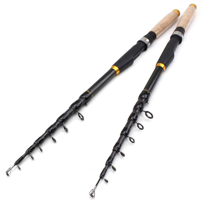 two telescopic spinning rods